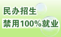 民办高校就业情况