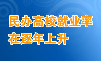 民办高校就业情况