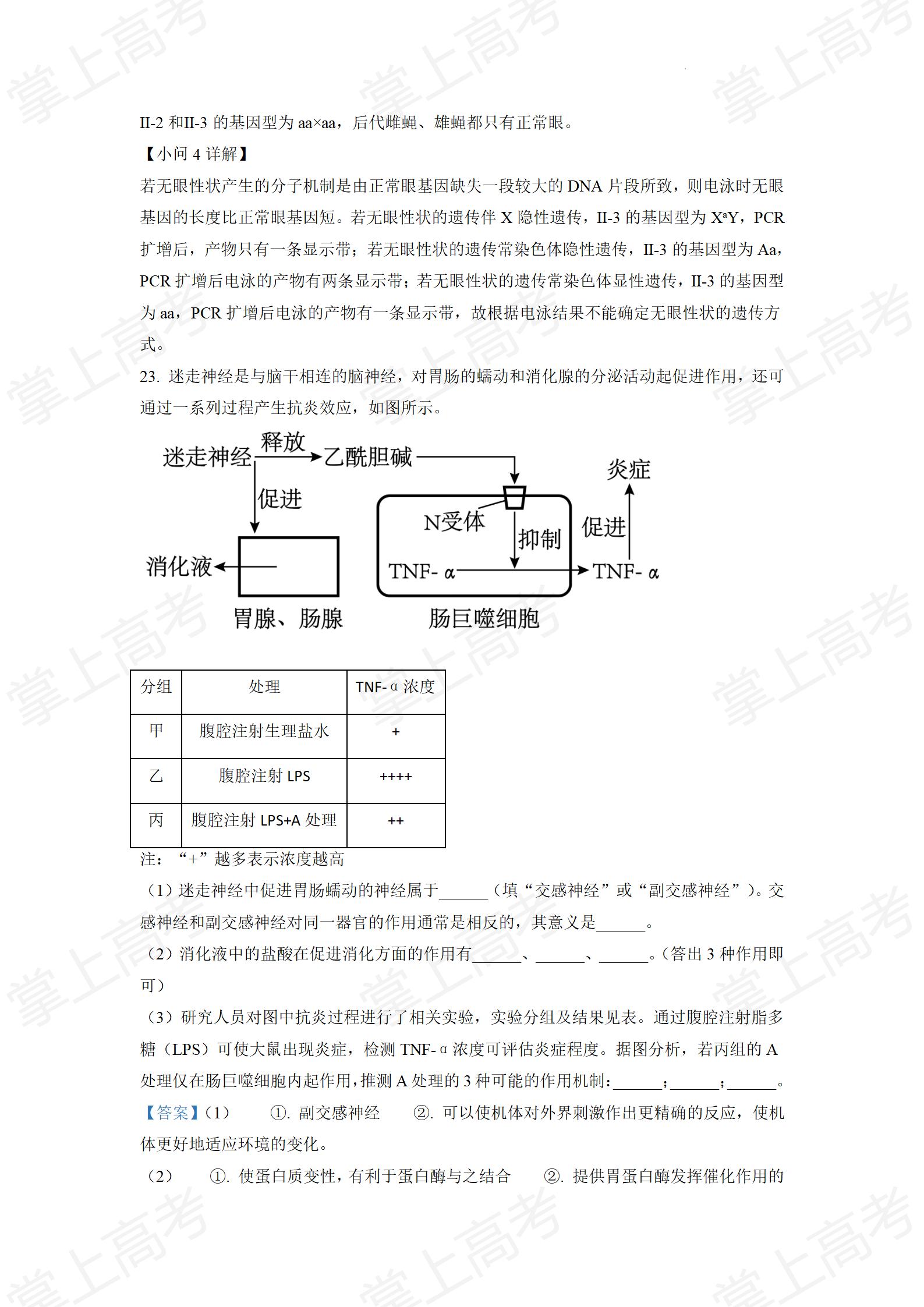 精品解析:2022年山东省学业水平选择性考试生物试题(解析版)_19