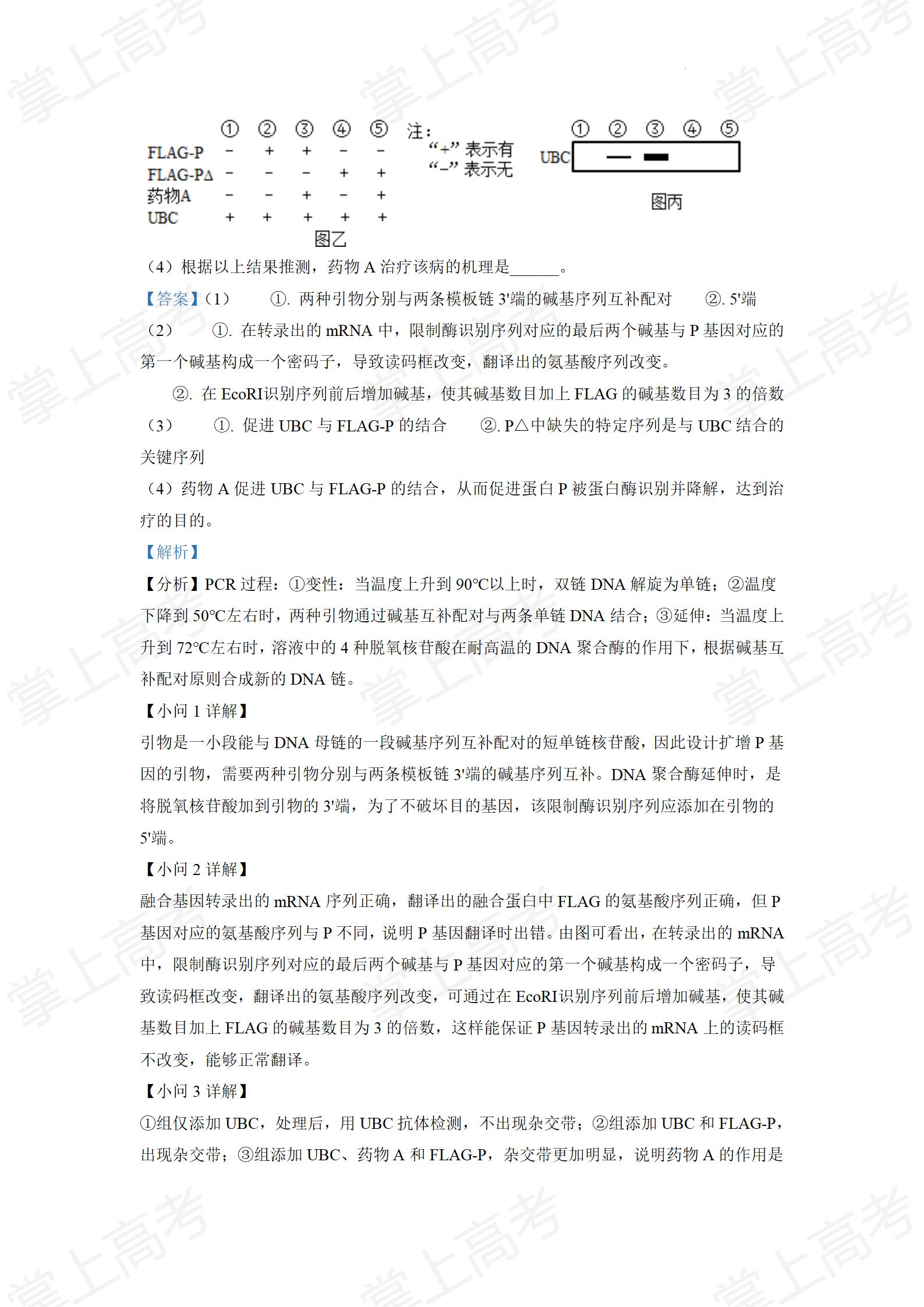 精品解析:2022年山东省学业水平选择性考试生物试题(解析版)_23