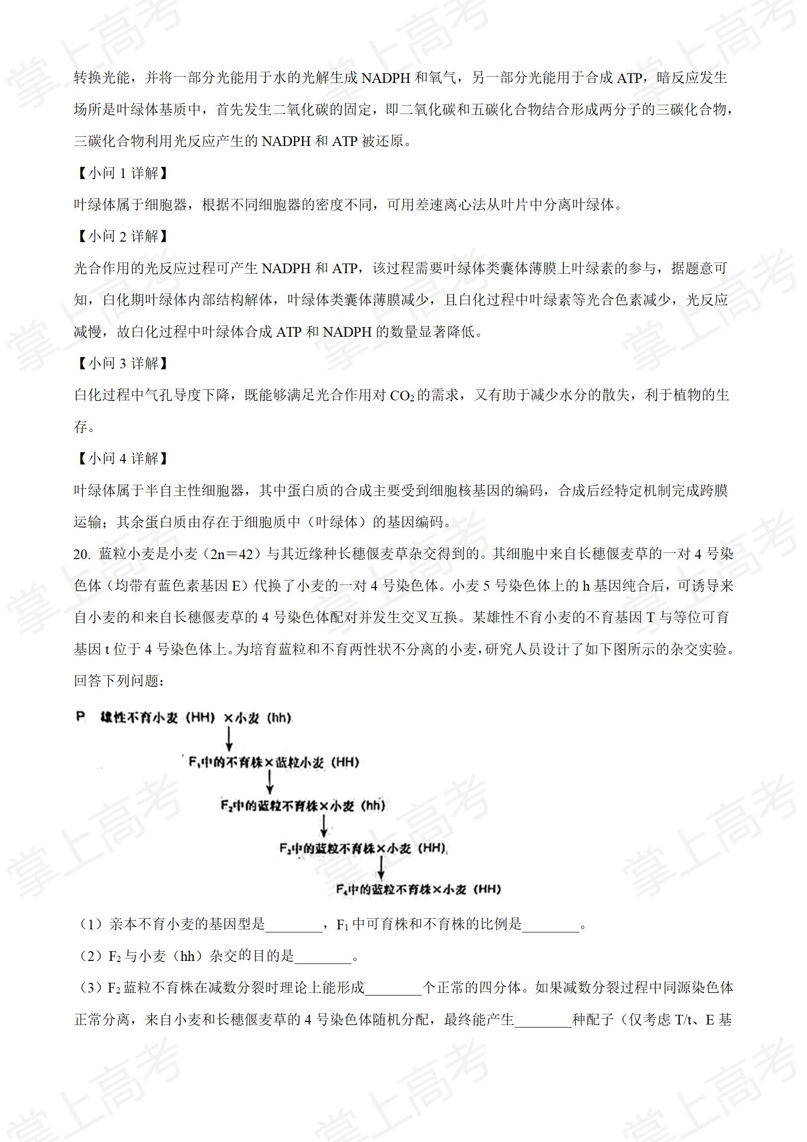 精品解析:2022年新高考河北生物高考真题(解析版)_14